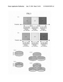 APPARATUS AND METHOD FOR CONTROLLING INTER-CELL INTERFERENCE diagram and image