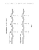 UNIVERSAL FIBRONECTIN TYPE III BINDING-DOMAIN LIBRARIES diagram and image