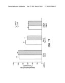 siRNA targeting BCL2L1 diagram and image