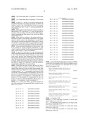 siRNA targeting BCL2L1 diagram and image