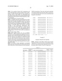 siRNA targeting BCL2L1 diagram and image