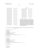 siRNA targeting BCL2L1 diagram and image