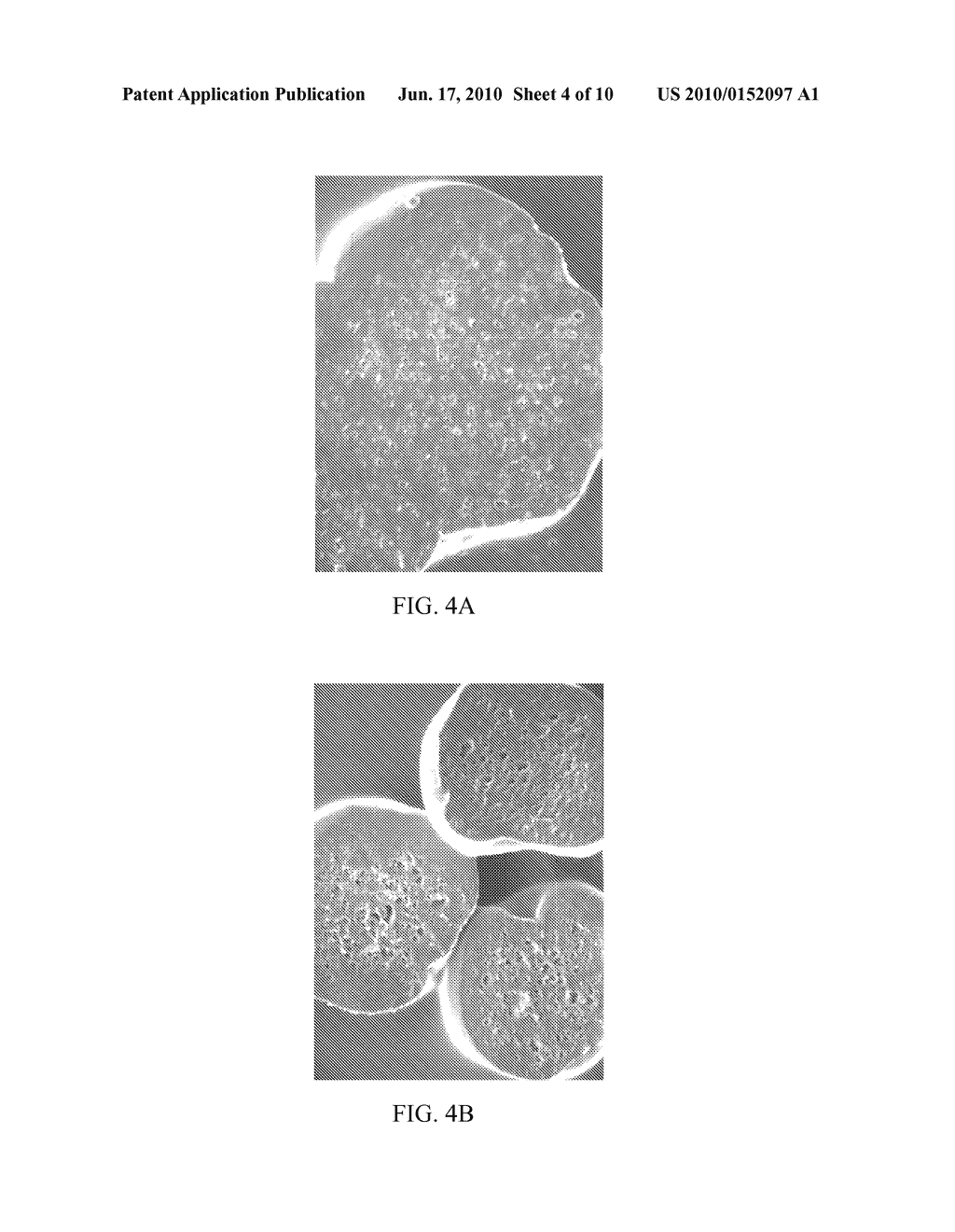 POLYMER-BASED SUSTAINED RELEASE DEVICE - diagram, schematic, and image 05