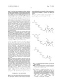 POLYBASIC BACTERIAL EFFLUX PUMP INHIBITORS AND THERAPEUTIC USES THEREOF diagram and image