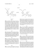 POLYBASIC BACTERIAL EFFLUX PUMP INHIBITORS AND THERAPEUTIC USES THEREOF diagram and image