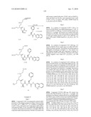 POLYBASIC BACTERIAL EFFLUX PUMP INHIBITORS AND THERAPEUTIC USES THEREOF diagram and image