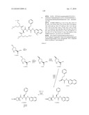 POLYBASIC BACTERIAL EFFLUX PUMP INHIBITORS AND THERAPEUTIC USES THEREOF diagram and image