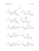 POLYBASIC BACTERIAL EFFLUX PUMP INHIBITORS AND THERAPEUTIC USES THEREOF diagram and image