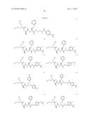 POLYBASIC BACTERIAL EFFLUX PUMP INHIBITORS AND THERAPEUTIC USES THEREOF diagram and image