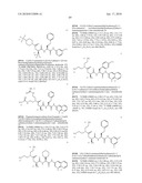 POLYBASIC BACTERIAL EFFLUX PUMP INHIBITORS AND THERAPEUTIC USES THEREOF diagram and image