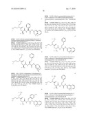 POLYBASIC BACTERIAL EFFLUX PUMP INHIBITORS AND THERAPEUTIC USES THEREOF diagram and image