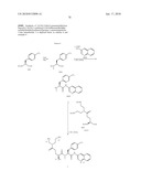 POLYBASIC BACTERIAL EFFLUX PUMP INHIBITORS AND THERAPEUTIC USES THEREOF diagram and image