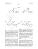 POLYBASIC BACTERIAL EFFLUX PUMP INHIBITORS AND THERAPEUTIC USES THEREOF diagram and image