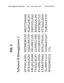 Influenza inhibiting compositions and methods diagram and image