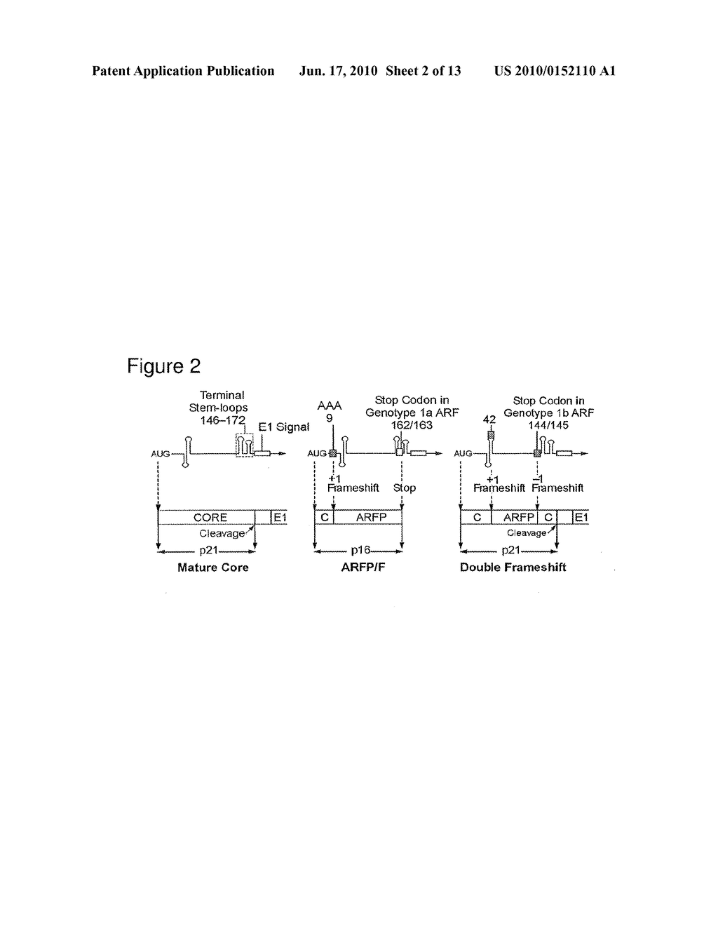 ALTERNATE READING FRAME POLYPEPTIDES DERIVED FROM HEPATITIS C AND METHODS OF THEIR USE - diagram, schematic, and image 03