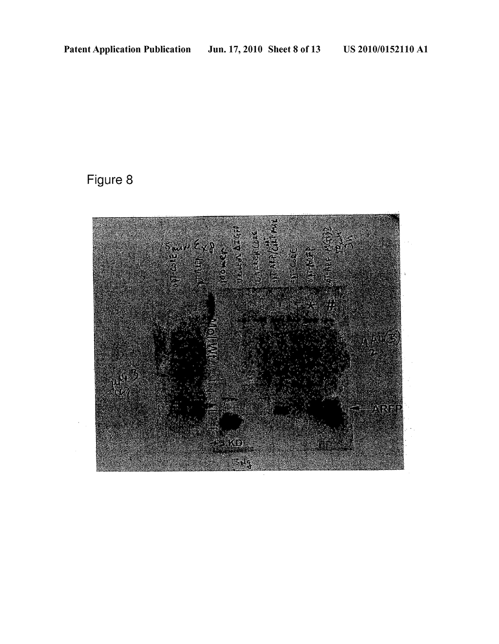 ALTERNATE READING FRAME POLYPEPTIDES DERIVED FROM HEPATITIS C AND METHODS OF THEIR USE - diagram, schematic, and image 09