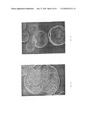 Polymer-based sustained release device diagram and image