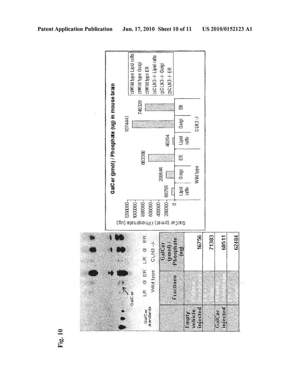 METHODS AND COMPOSITIONS FOR TREATING DISORDERS CAUSED BY A DEFICIENCY IN A GENE PRODUCT OF A CLN GENE - diagram, schematic, and image 11