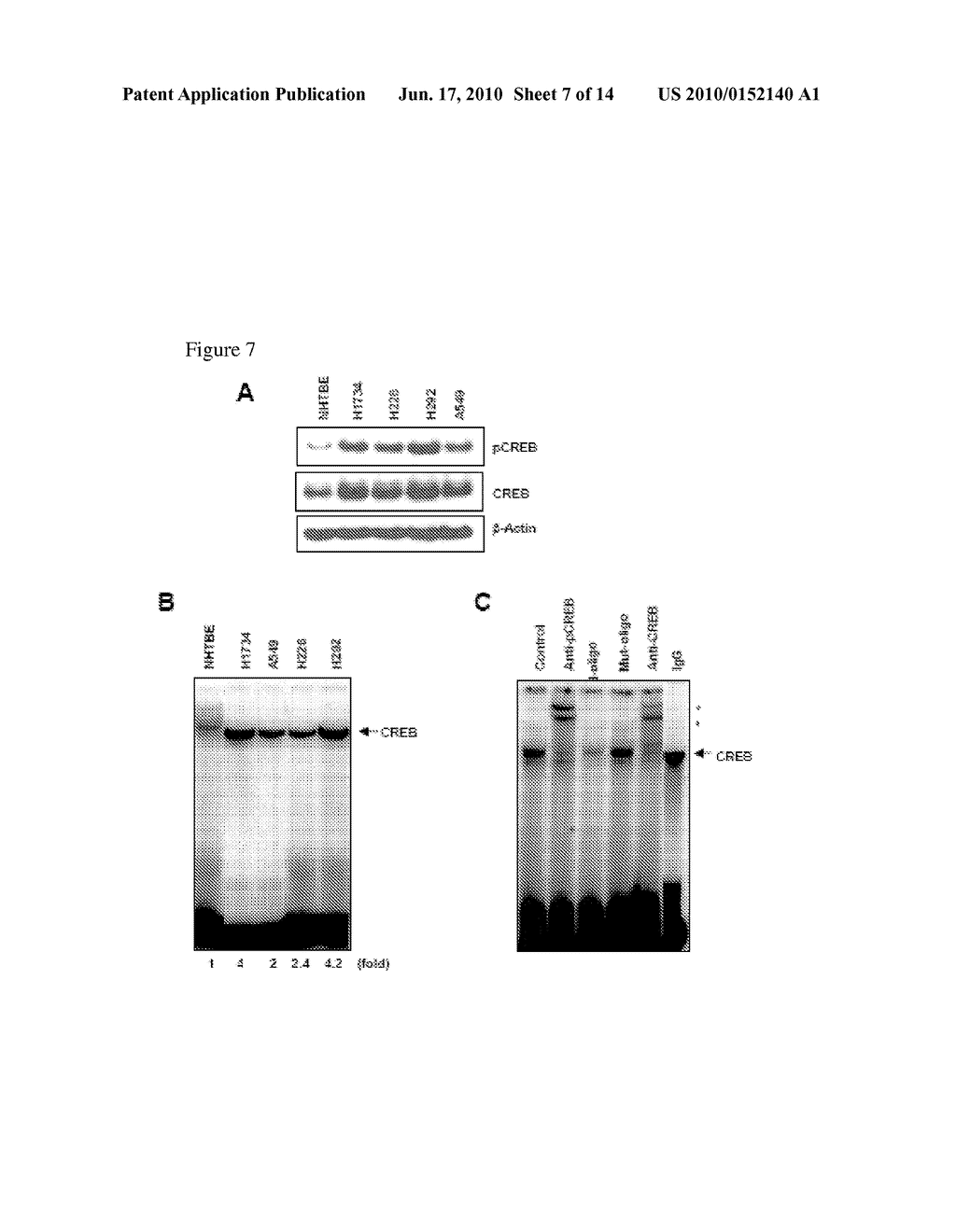 Method of Cancer Treatment with Naphthol Analogs - diagram, schematic, and image 08