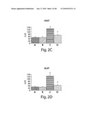 TGR5 MODULATORS AND METHODS OF USE THEROF diagram and image