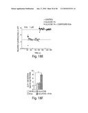 TGR5 MODULATORS AND METHODS OF USE THEROF diagram and image