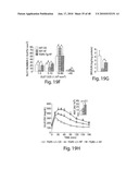 TGR5 MODULATORS AND METHODS OF USE THEROF diagram and image