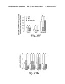 TGR5 MODULATORS AND METHODS OF USE THEROF diagram and image