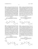 (4-TERT-BUTYLPIPERAZIN-2-YL)(PIPERAZIN-1-YL)METHANONE-N-CARBOXAMIDE DERIVATIVES diagram and image