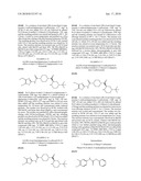 (4-TERT-BUTYLPIPERAZIN-2-YL)(PIPERAZIN-1-YL)METHANONE-N-CARBOXAMIDE DERIVATIVES diagram and image