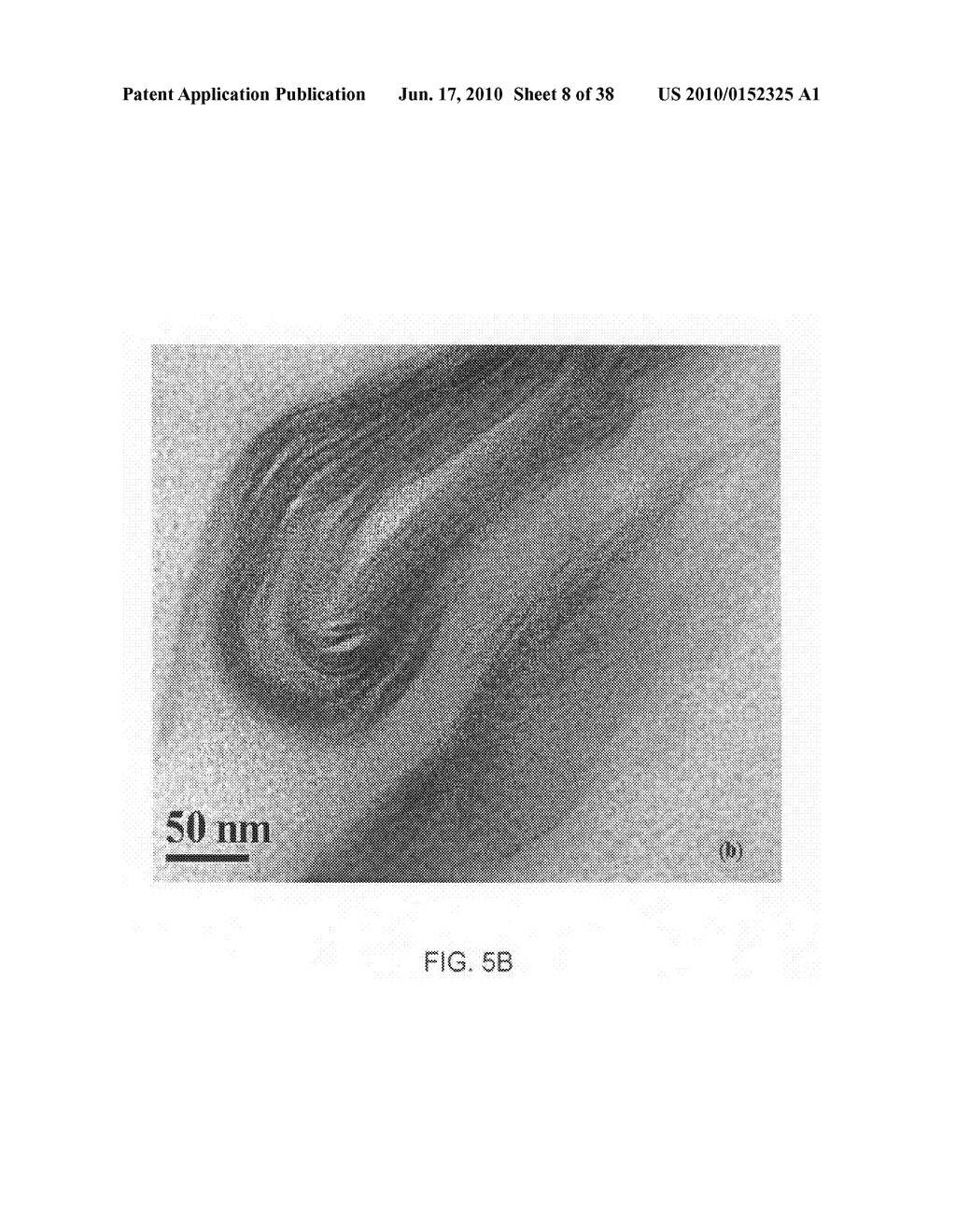 Process for preparing polymer nanocomposites and nanocomposites prepared therefrom - diagram, schematic, and image 09