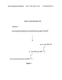 Switch-Peptides as Tool for the Study of Fibrillogenesis diagram and image