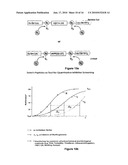 Switch-Peptides as Tool for the Study of Fibrillogenesis diagram and image