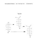 COMPOSITIONS AND PROCESSES FOR THE SELECTIVE CATALYTIC OXIDATION OF ALCOHOLS diagram and image