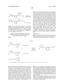 NICOTINIC ACETYLCHOLINE RECEPTOR LIGANDS AND THE USES THEREOF diagram and image