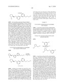 NICOTINIC ACETYLCHOLINE RECEPTOR LIGANDS AND THE USES THEREOF diagram and image