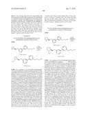 NICOTINIC ACETYLCHOLINE RECEPTOR LIGANDS AND THE USES THEREOF diagram and image