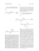 NICOTINIC ACETYLCHOLINE RECEPTOR LIGANDS AND THE USES THEREOF diagram and image