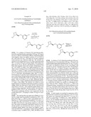 NICOTINIC ACETYLCHOLINE RECEPTOR LIGANDS AND THE USES THEREOF diagram and image