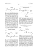 NICOTINIC ACETYLCHOLINE RECEPTOR LIGANDS AND THE USES THEREOF diagram and image