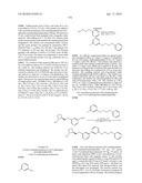 NICOTINIC ACETYLCHOLINE RECEPTOR LIGANDS AND THE USES THEREOF diagram and image