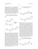 NICOTINIC ACETYLCHOLINE RECEPTOR LIGANDS AND THE USES THEREOF diagram and image