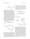 NICOTINIC ACETYLCHOLINE RECEPTOR LIGANDS AND THE USES THEREOF diagram and image