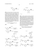 NICOTINIC ACETYLCHOLINE RECEPTOR LIGANDS AND THE USES THEREOF diagram and image