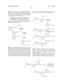 NICOTINIC ACETYLCHOLINE RECEPTOR LIGANDS AND THE USES THEREOF diagram and image