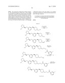 NICOTINIC ACETYLCHOLINE RECEPTOR LIGANDS AND THE USES THEREOF diagram and image