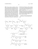 NICOTINIC ACETYLCHOLINE RECEPTOR LIGANDS AND THE USES THEREOF diagram and image