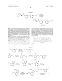 NICOTINIC ACETYLCHOLINE RECEPTOR LIGANDS AND THE USES THEREOF diagram and image