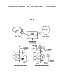 AUTOMATED NOISE REDUCTION SYSTEM FOR PREDICTING ARRHYTHMIC DEATHS diagram and image