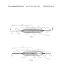 TEMPORARY VASCULAR FILTER diagram and image