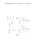 Diagnostic system for selecting nutrition and pharmacological products for animals diagram and image